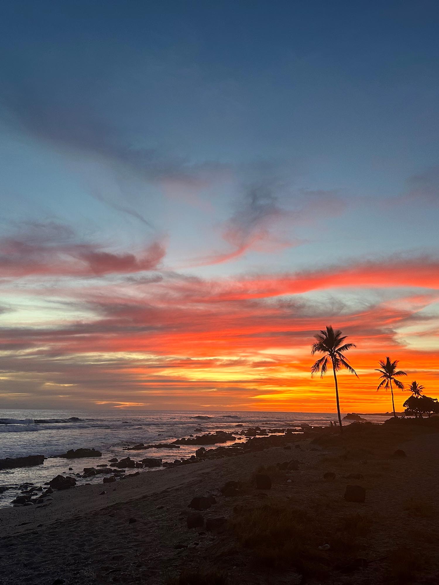 Edens Garden-Good One-Beach Palms-Sunset